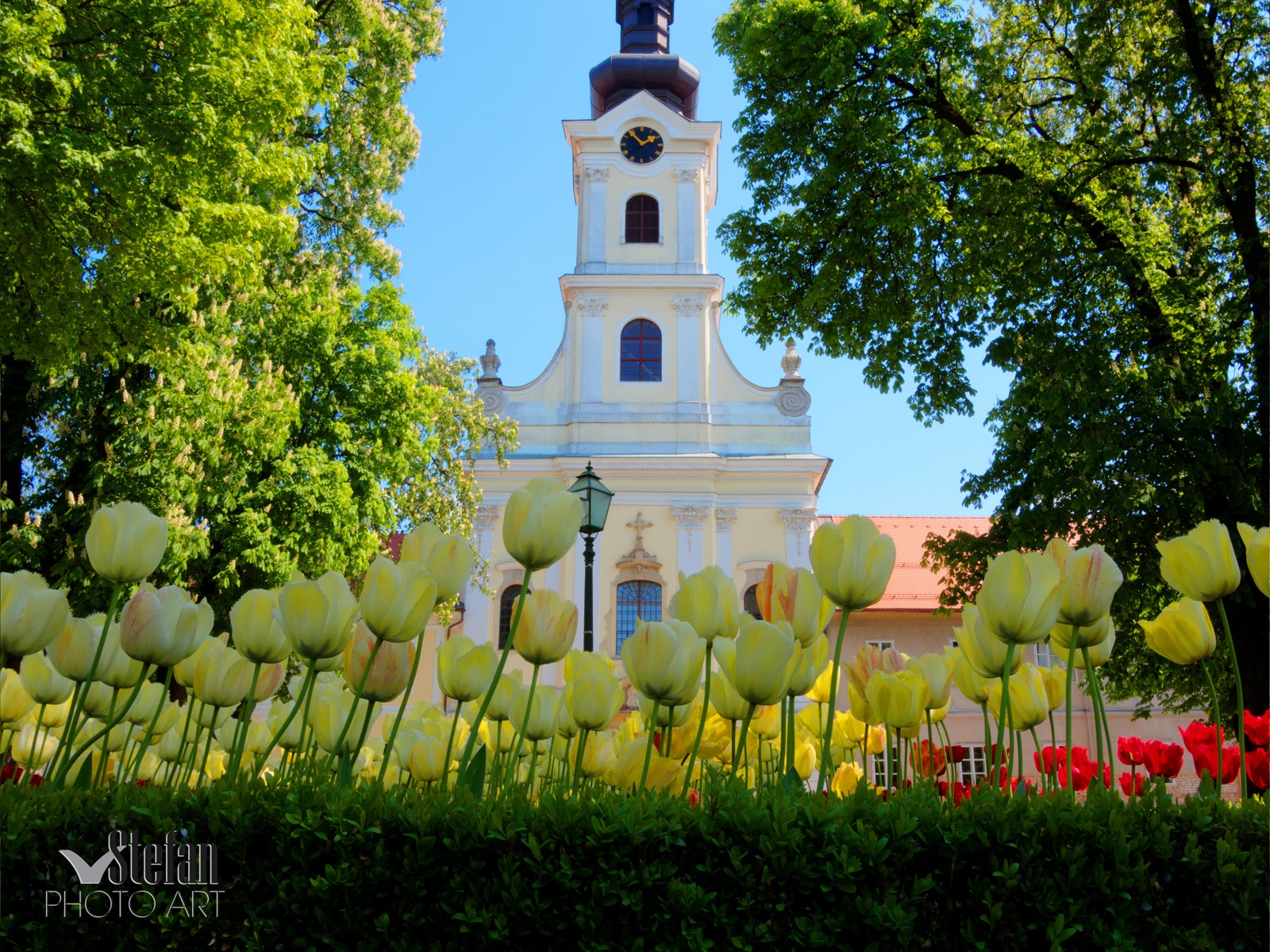 Katedrala STA Bjelovar 007