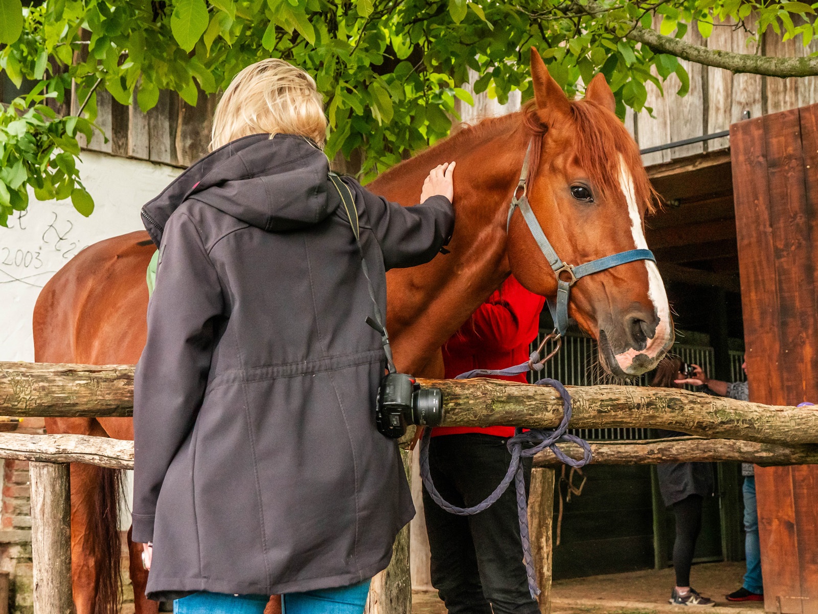 Horses welcome 005